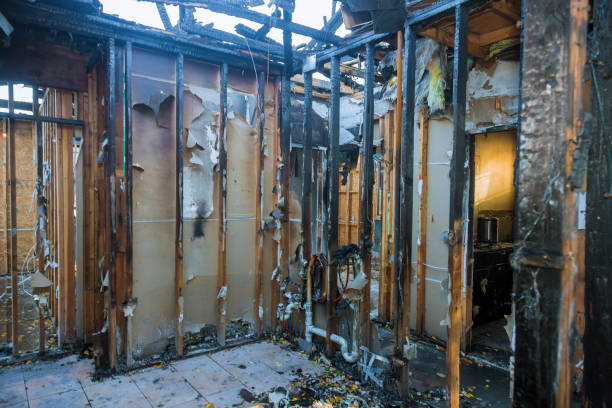 Professional Fire Damage Removal technician working in Mulberry, AR